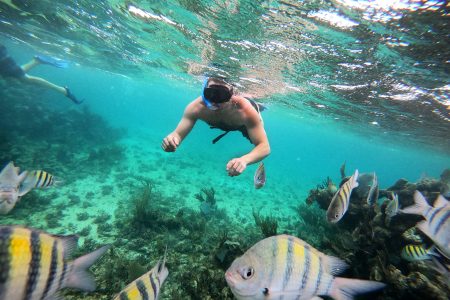 Sea Safari in Cozumel
